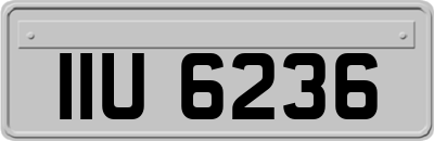 IIU6236