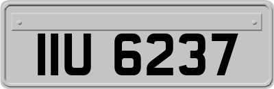IIU6237