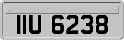 IIU6238