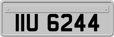 IIU6244