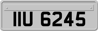 IIU6245