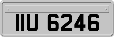 IIU6246