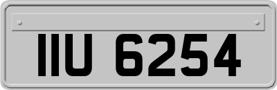 IIU6254