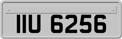 IIU6256