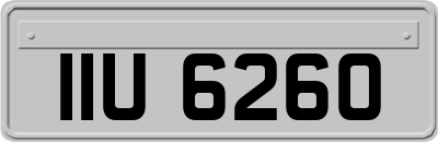IIU6260