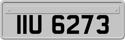 IIU6273