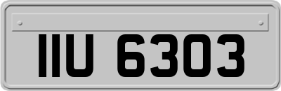 IIU6303