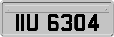 IIU6304