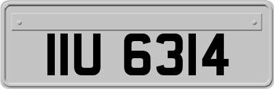 IIU6314