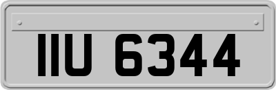 IIU6344