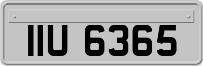IIU6365