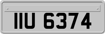 IIU6374