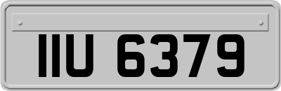 IIU6379