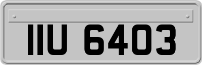 IIU6403
