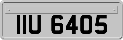 IIU6405