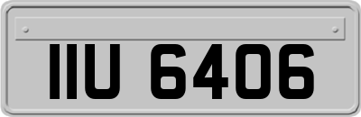 IIU6406