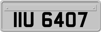 IIU6407