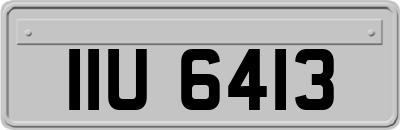 IIU6413