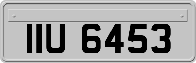 IIU6453