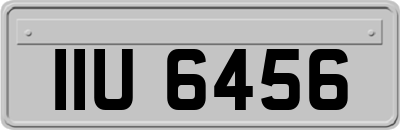 IIU6456