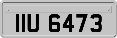 IIU6473