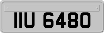 IIU6480