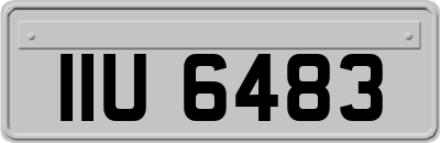 IIU6483