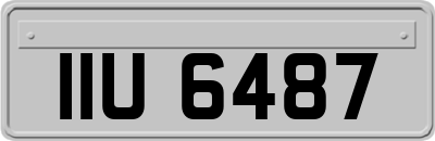 IIU6487