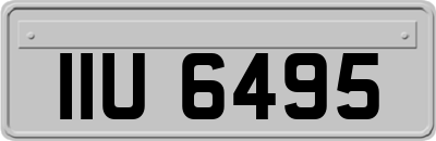 IIU6495