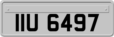 IIU6497