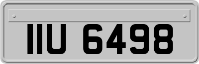 IIU6498
