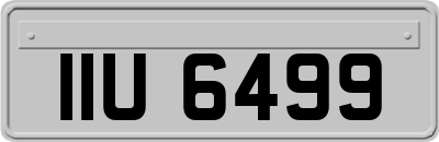 IIU6499