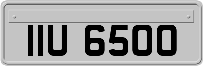 IIU6500