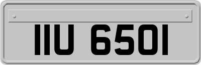 IIU6501
