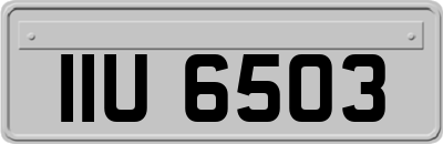 IIU6503
