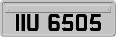 IIU6505