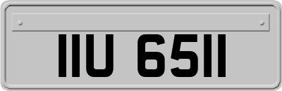 IIU6511