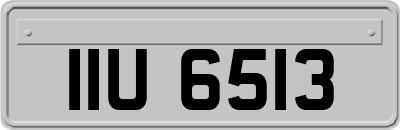 IIU6513