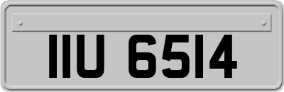IIU6514