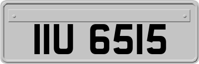 IIU6515
