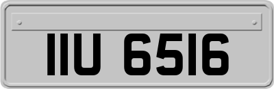 IIU6516