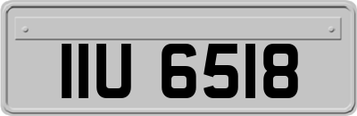 IIU6518