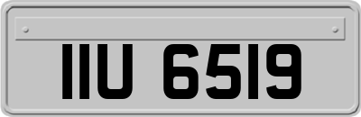 IIU6519