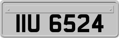 IIU6524