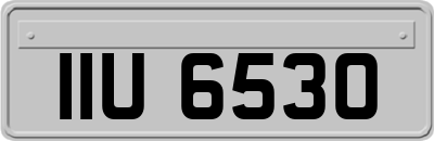 IIU6530