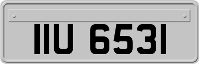 IIU6531