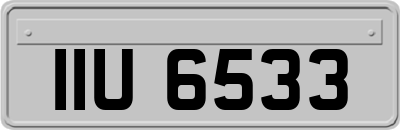 IIU6533