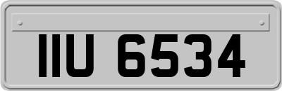 IIU6534