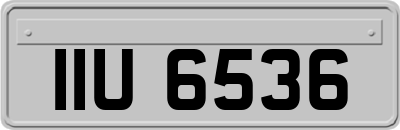 IIU6536