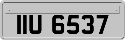IIU6537